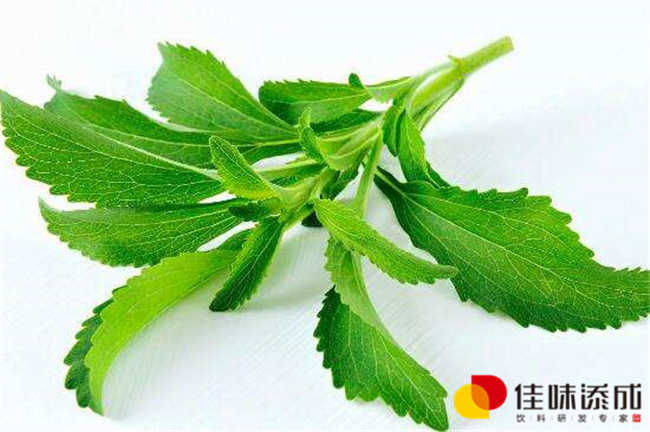 濟(jì)南果酒定制飲料配方研發(fā)與技術(shù)轉(zhuǎn)讓方案