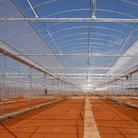 薄膜連棟溫室大棚工程建設與薄膜選擇指南