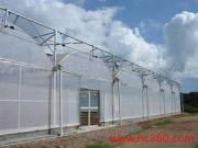 走進(jìn)壽光富華連棟薄膜溫室 科技農(nóng)業(yè)的綠色畫卷