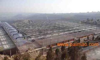 甘肅溫室大棚設(shè)計(jì)新趨勢(shì) 黃河金屬制品引領(lǐng)行業(yè)變革