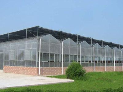 溫室大棚薄膜 價格分級的背后，是用戶需求的精準匹配